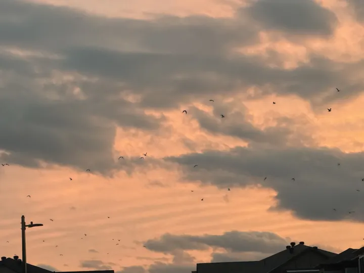 Orange clouds